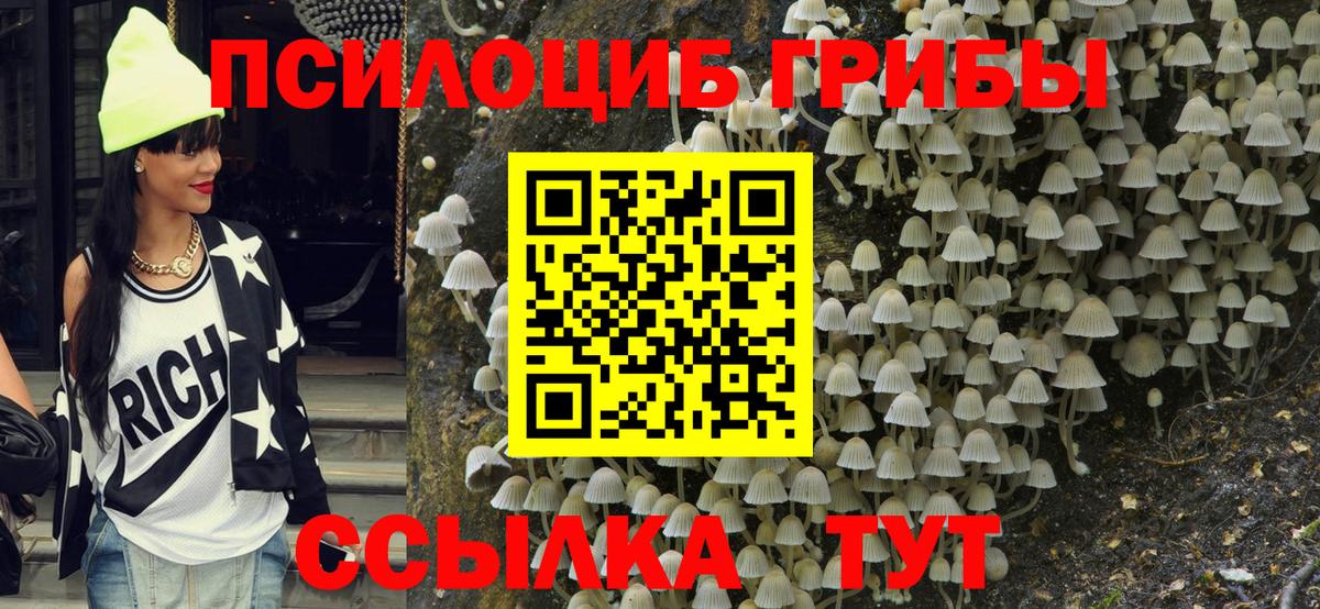 Жуковский  наркошоп  Вход с VPN  Псилоцибиновые грибы Psilocybe  Псилоцибиновые грибы прущие грибы 