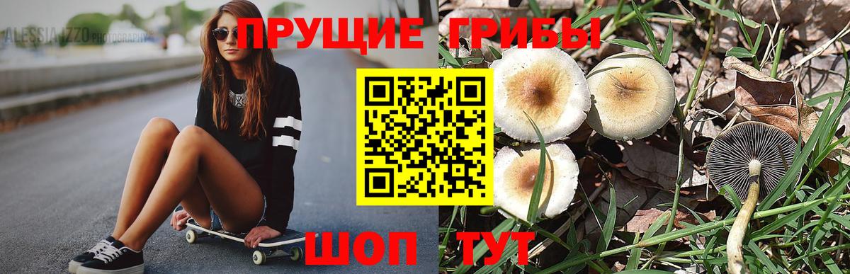 Псилоцибиновые грибы GOLDEN TEACHER Жуковский